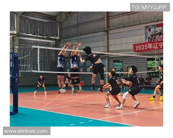 武汉排球队的精神探索与排球文化的深度融合之旅