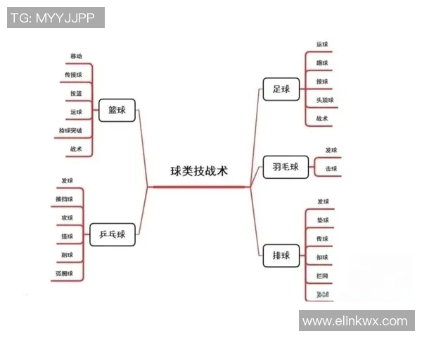 深圳篮球队的个人能力揭秘：从技术到战术的全面分析与探讨